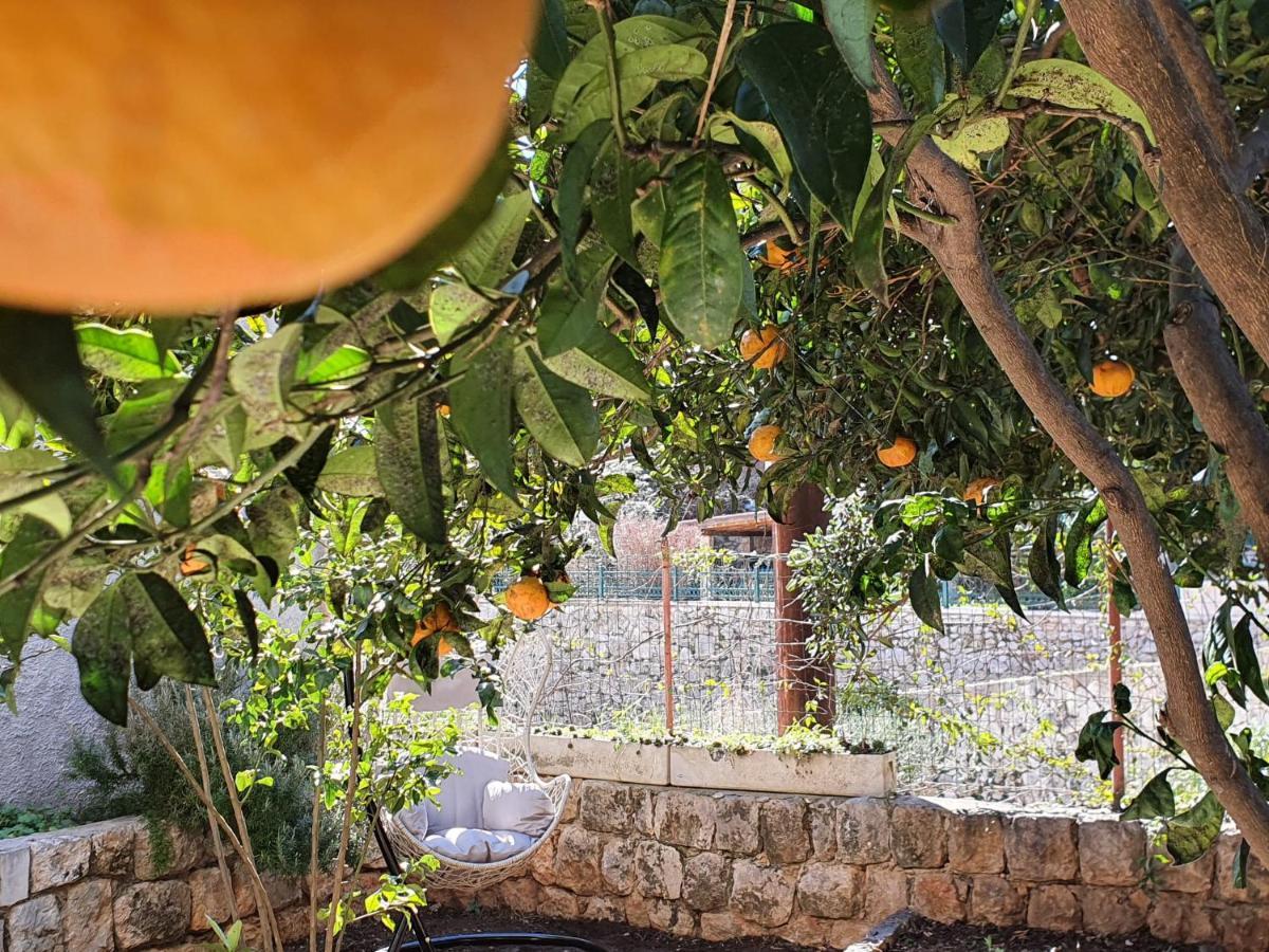 Barbara'S Garden Apartment Dubrovnik Buitenkant foto